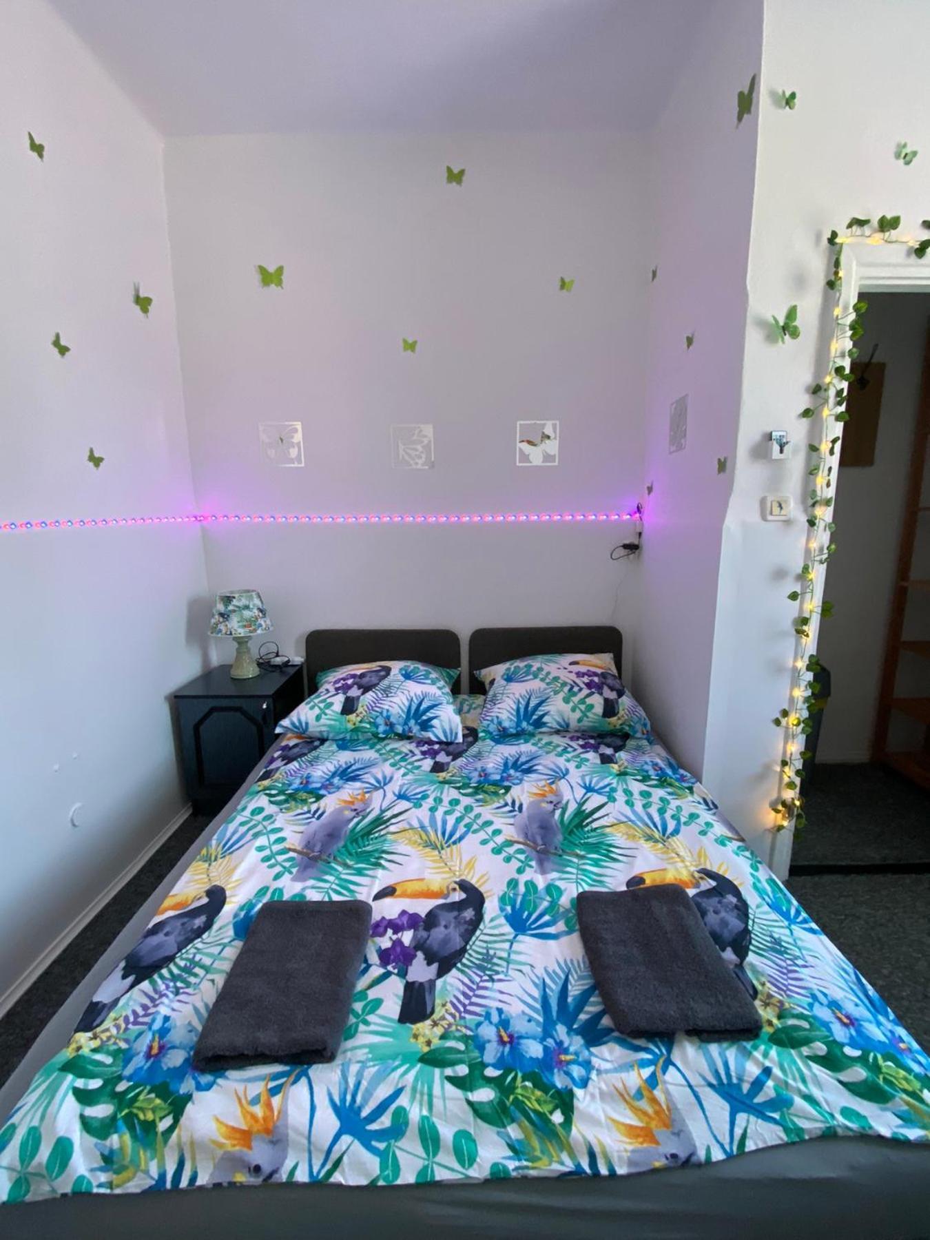 Jungle Rooms 그단스크 객실 사진